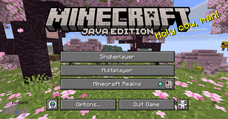 Hướng dẫn cách tải Minecraft PC nhanh và thành công trên máy tính 2 Phiên bản Minecraft Java Edition phù hợp với ai?
